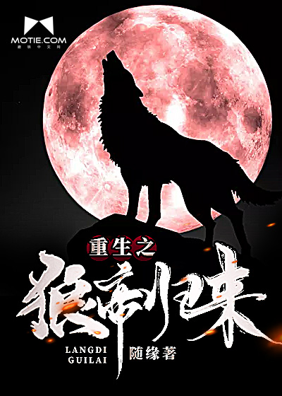详细阅读:之狼(只狼在steam上的名字) 之狼(只狼在steam上的名字)
